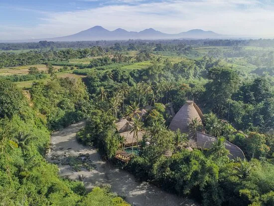 Balancing Urban Convenience with Rural Umalas Kerobokan