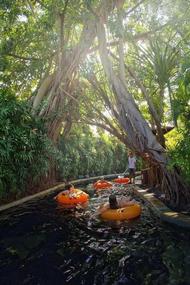 The Ultimate Guide to Turnkey Property Management in Bali's Thriving Padonan District