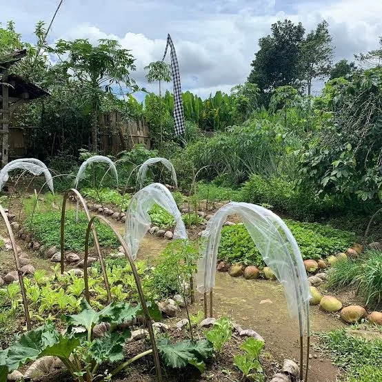 Integrating Local Farming at Petitenget Seminyak with Luxury Management