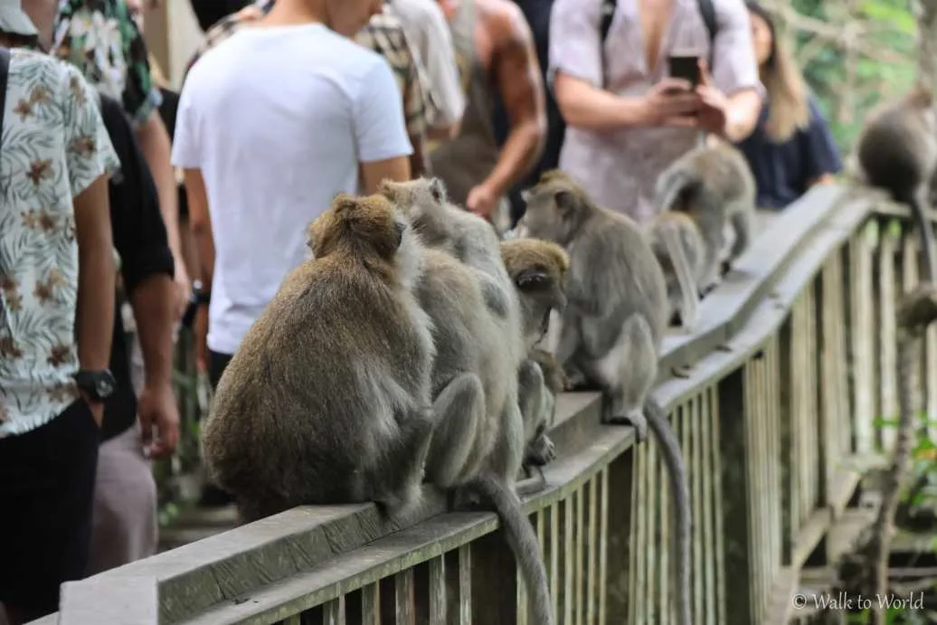 Balancing High-Tech 3D Tourism with Sangeh's Timeless Heritage