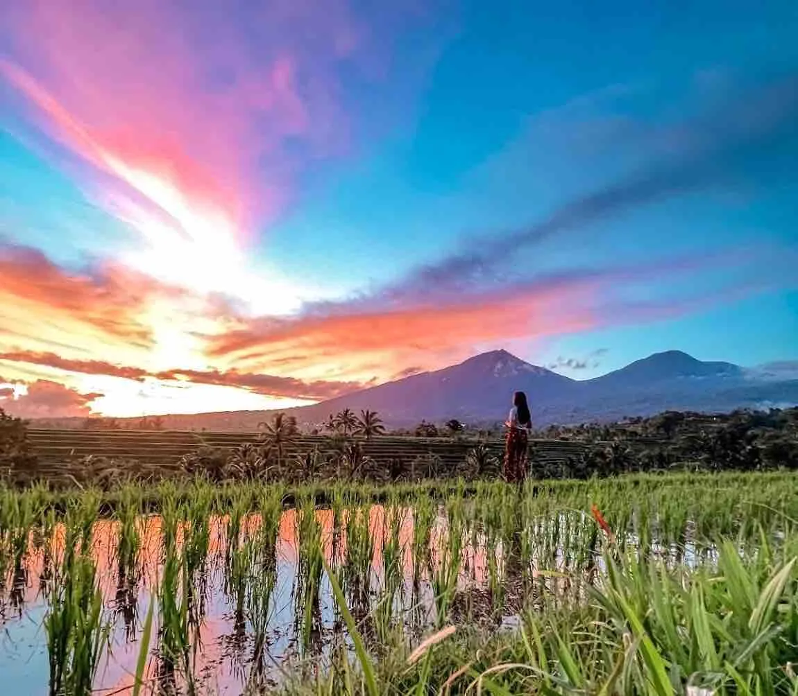 The Future of Seminyak Real Estate: Green Spaces as Luxury Commodities