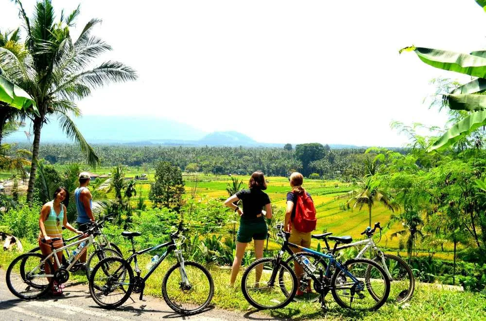 Navigating the Elite Property and Travel Scene: The Power of Integrated Mobility in Bali's Luxury Real Estate