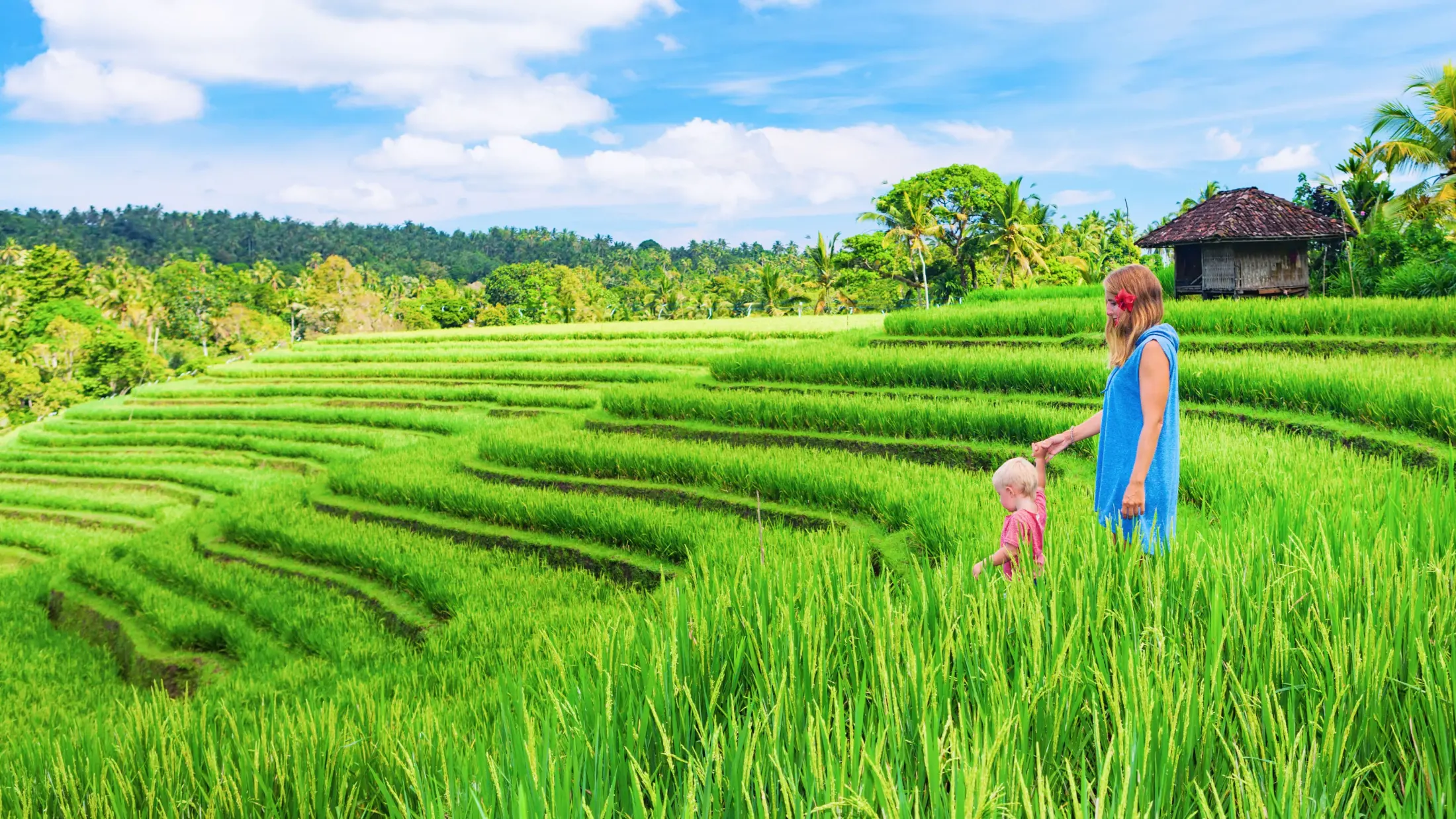 Expat Guide to Kaba-Kaba: Slow Living with Canggu Proximity