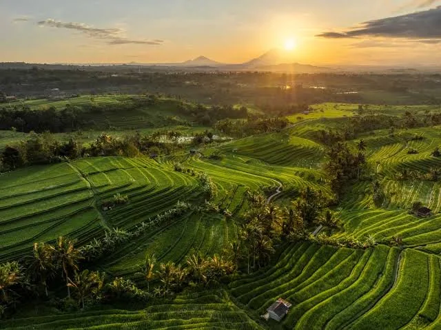 The Value of Rice Field Views in Petitenget Real Estate