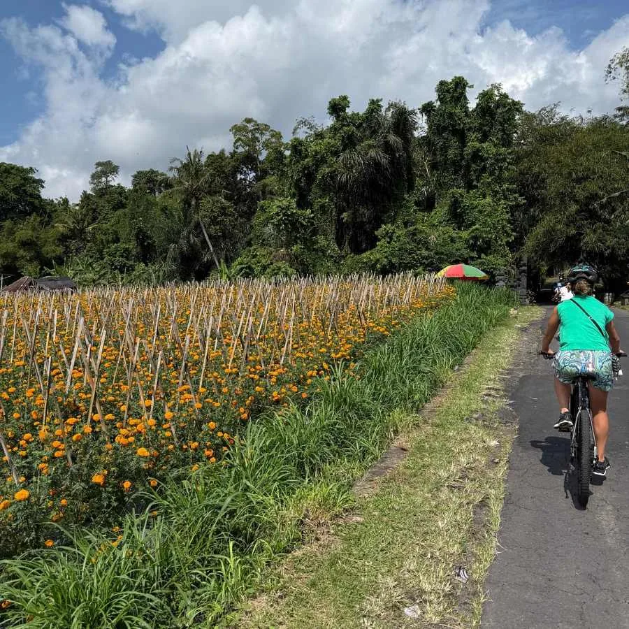 How Bike Rentals and Expert Property Management Elevate the Vacation Experience