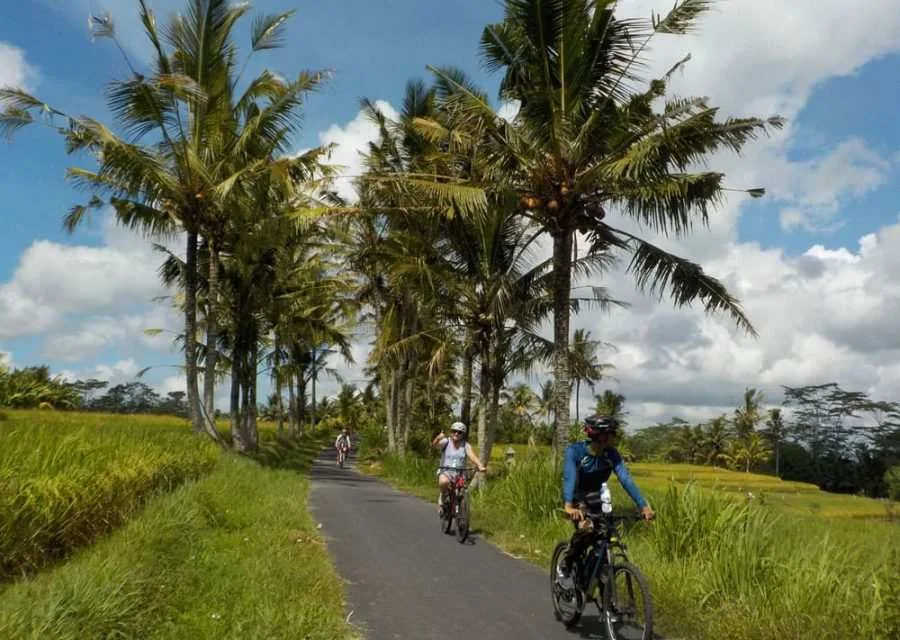 Maximizing Profits and Adventure in Southwest Bali