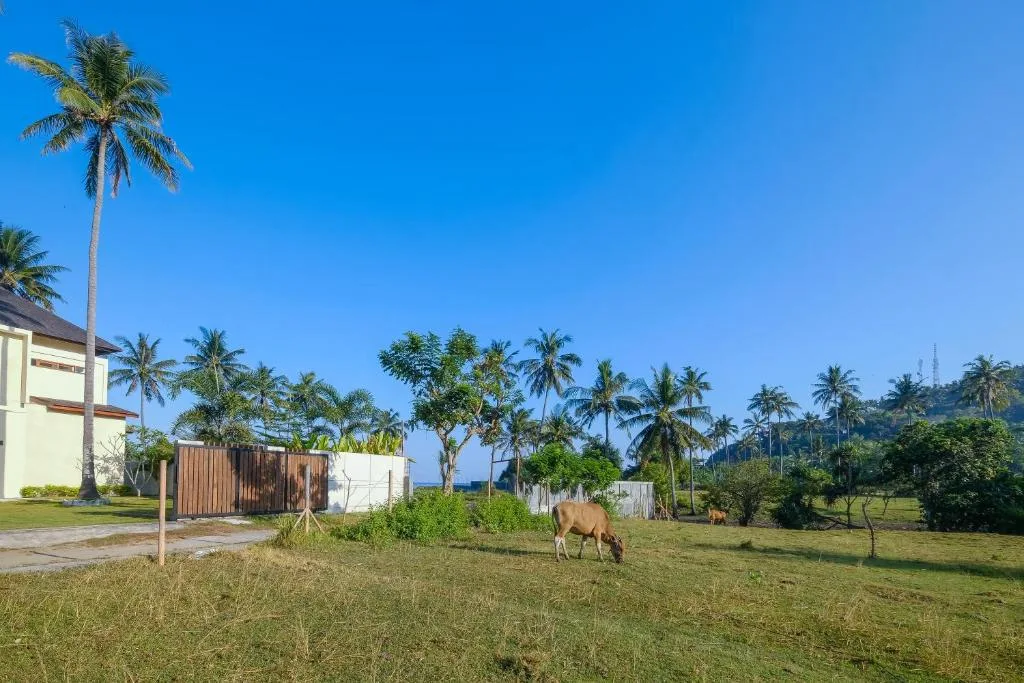 Direct Beachfront Freehold Land for Sale in Lombok | 1,470 sqm | Pink Zone