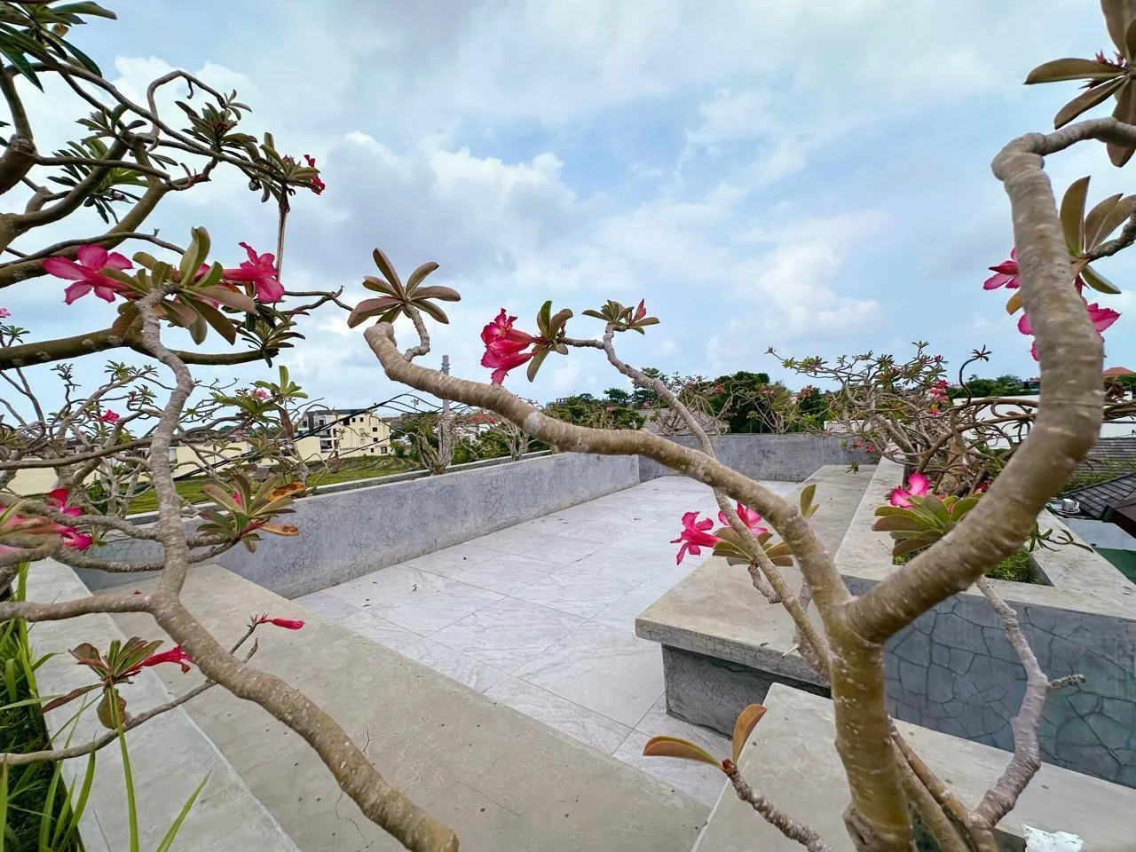 Premium Freehold Villa for Sale in Canggu | The Berawa Gem with High Quality Construction