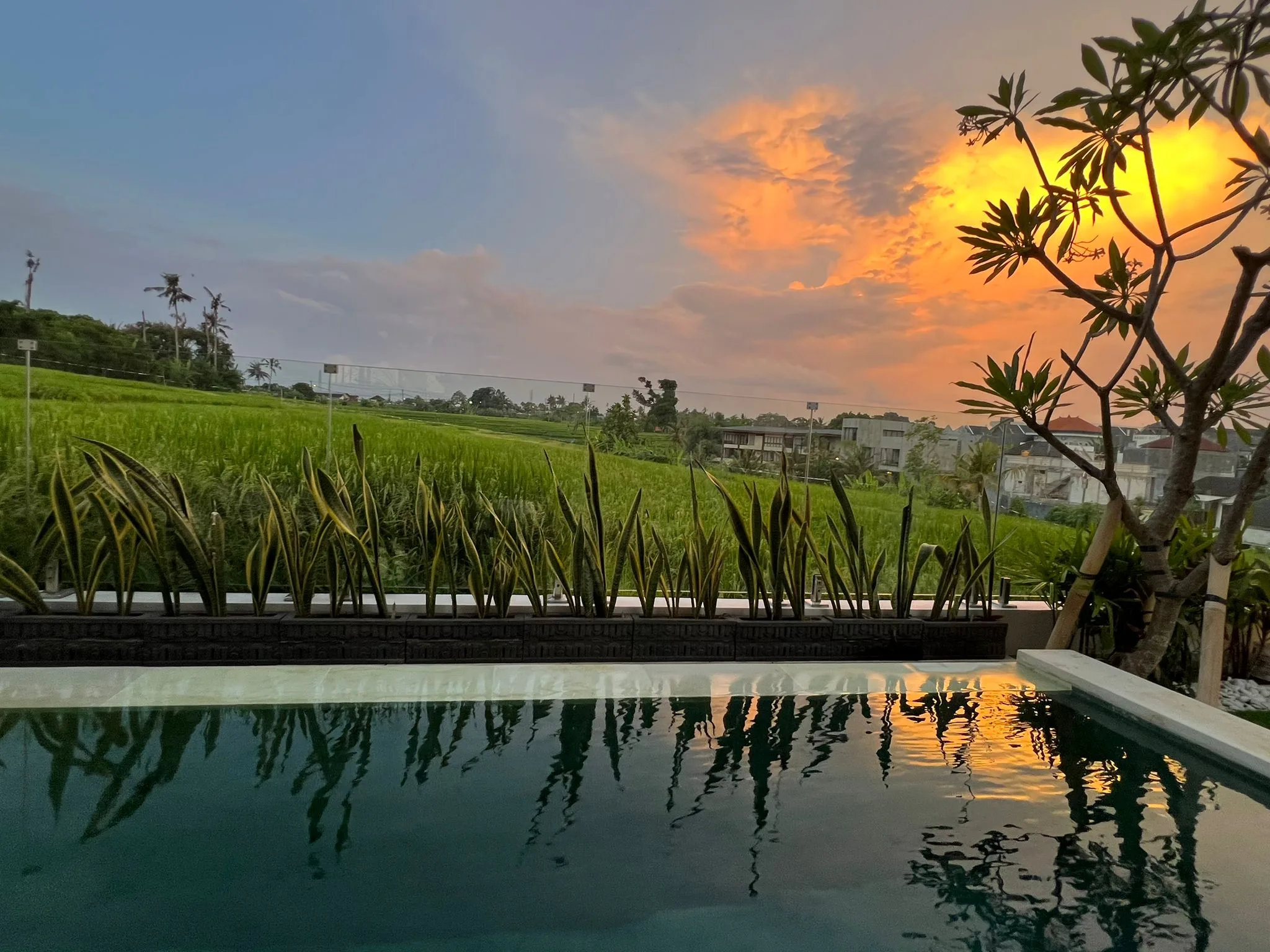 2 Bedroom Modern Tropical Villa for Yearly Rent in Buduk with Rice Field Views